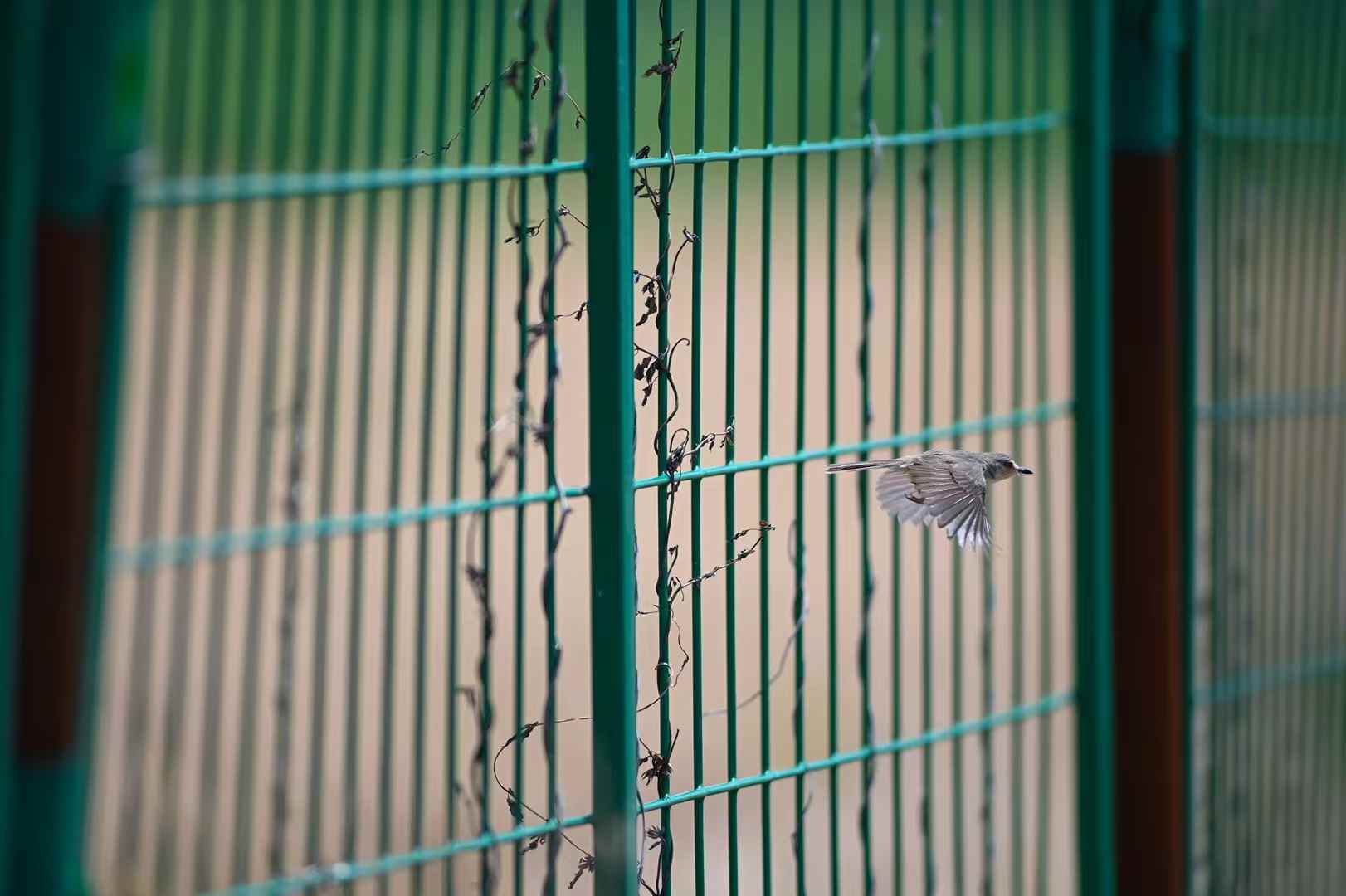 journal photo