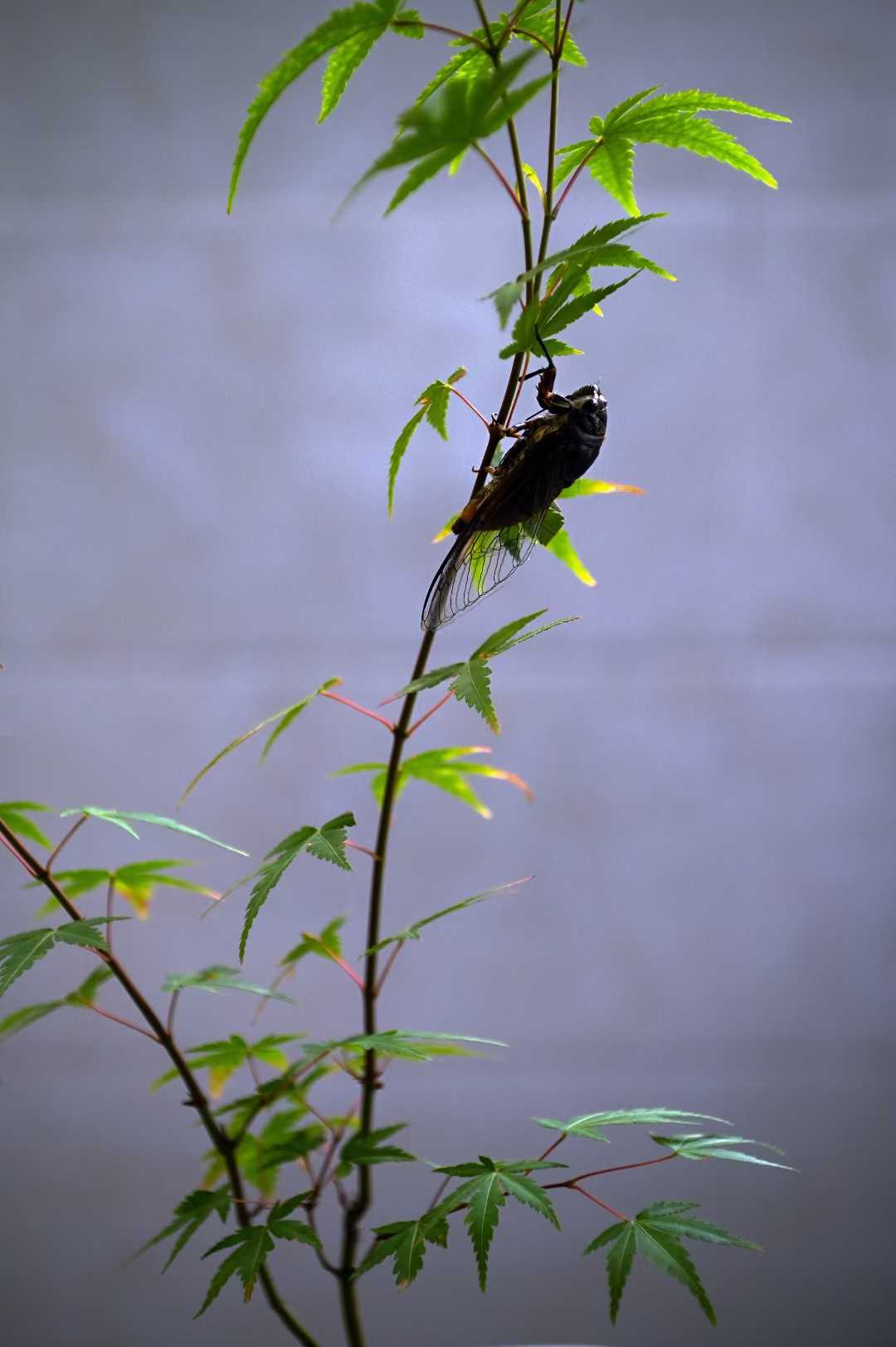 journal photo