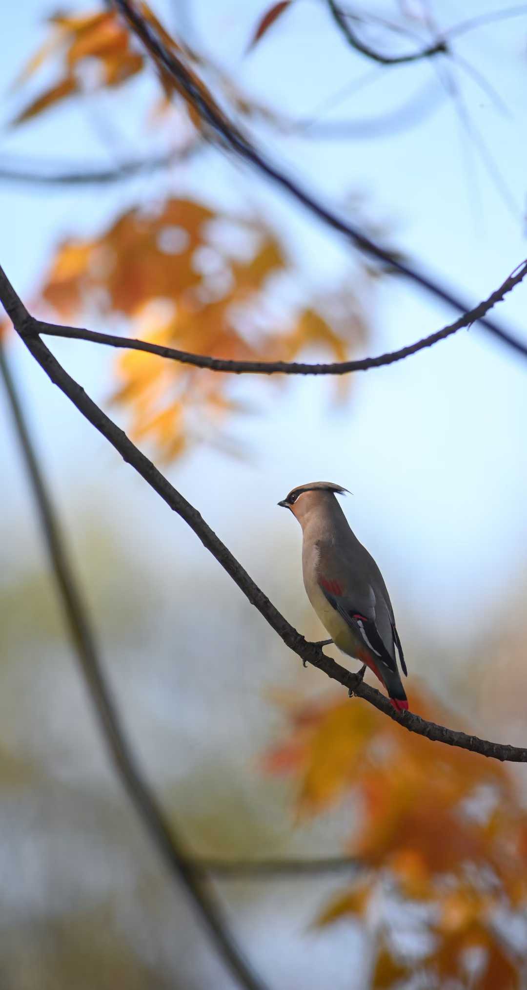 journal photo